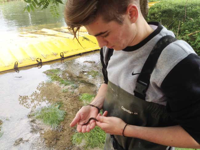 batardeau écologie milieu naturel